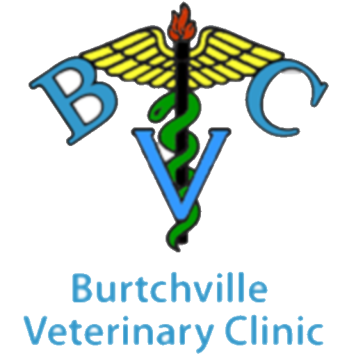Burtchville Veterinary Clinic